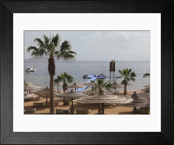 Framed Print : Sunshades and palm trees by the beach at White Knight Beach, Sharm el-Sheikh Framed Print : Sunshades and palm trees by the beach at White Knight Beach, Sharm el-Sheikh