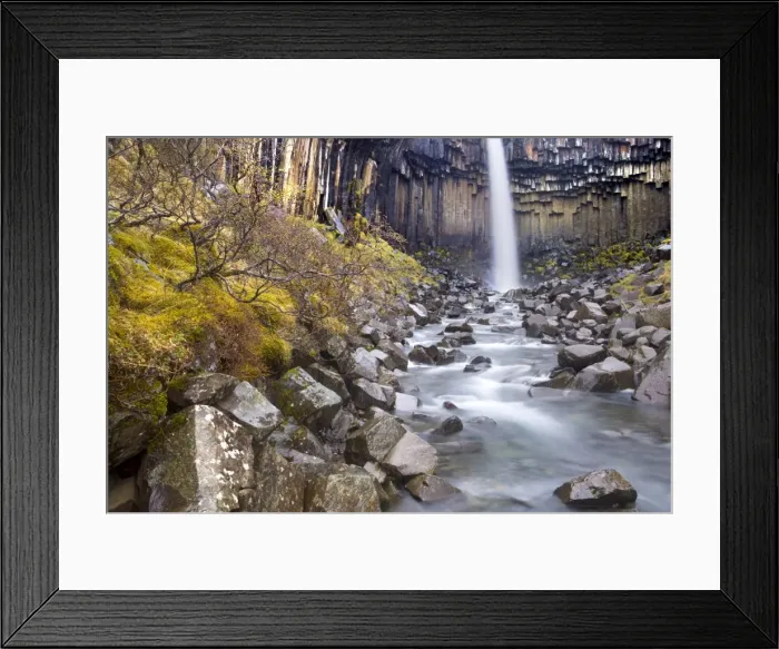 Framed Print : Svartifoss waterfall in the Skaftafell National Park, Iceland, Polar Regions Framed Print : Svartifoss waterfall in the Skaftafell National Park, Iceland, Polar Regions