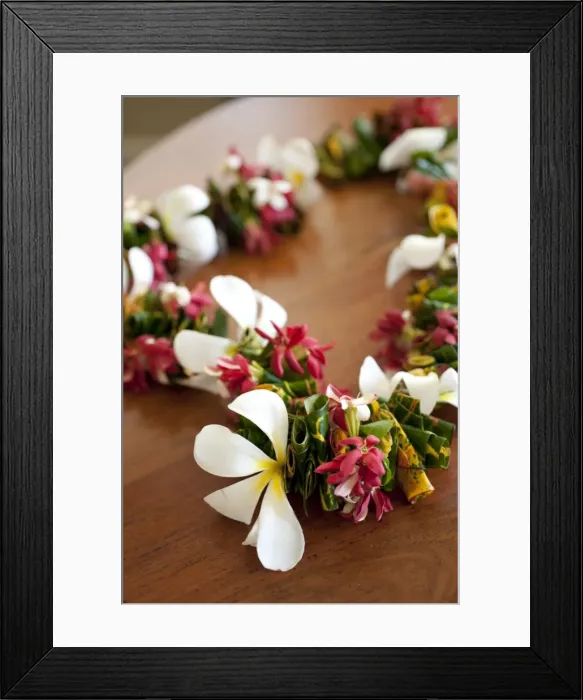 Framed Print : Sheraton Fiji Resort, Denarau Island, Fiji, Melanesia, Oceania, Pacific Islands, Pacific Framed Print : Sheraton Fiji Resort, Denarau Island, Fiji, Melanesia, Oceania, Pacific Islands, Pacific