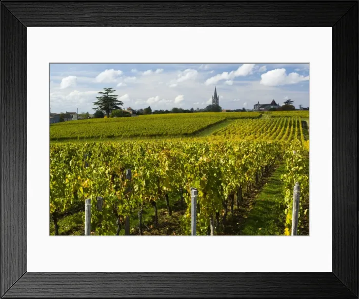 Framed Print : Vineyards, St. Emilion, Gironde, France, Europe Framed Print : Vineyards, St. Emilion, Gironde, France, Europe