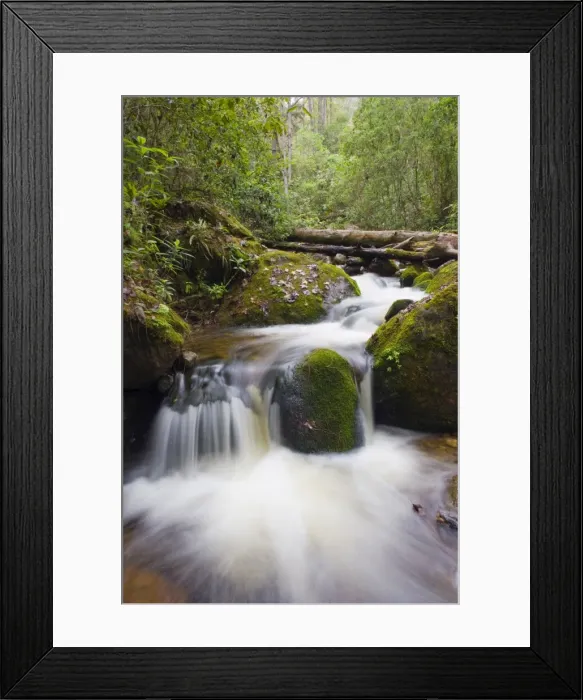 Framed Print : River in Parque Nacional Montana de Celaque, Gracias, Honduras, Central America Framed Print : River in Parque Nacional Montana de Celaque, Gracias, Honduras, Central America