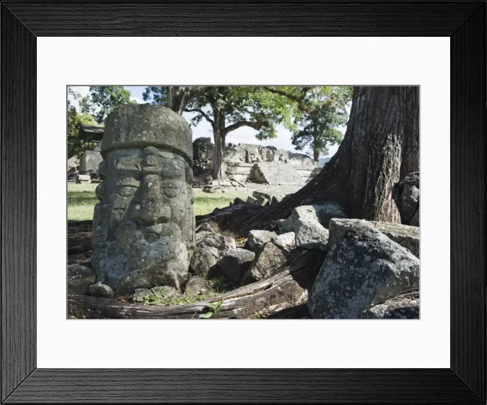 Framed Print : Sculpted head stone at Mayan archeological site, Copan Ruins, UNESCO World Heritage Site Framed Print : Sculpted head stone at Mayan archeological site, Copan Ruins, UNESCO World Heritage Site