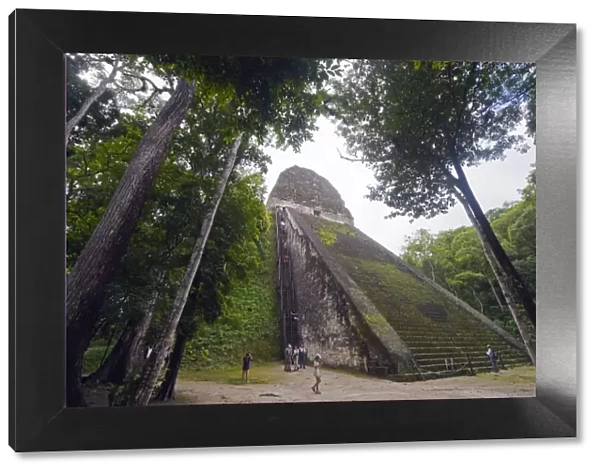 Tourists climbing a pyramid in the forest, Mayan ruins, Tikal, UNESCO World Heritage Site