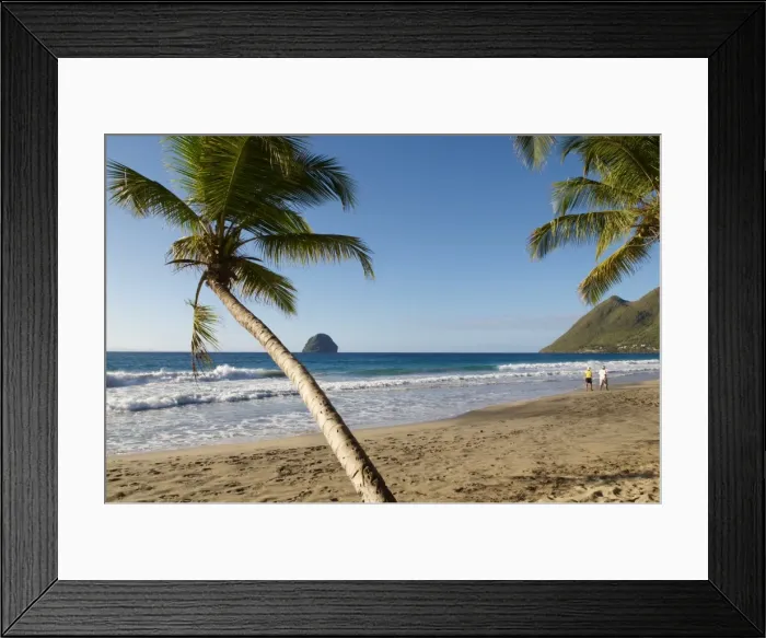 Framed Print : Beach and palm tree, Diamond, Martinique, French Overseas Department, Windward Islands Framed Print : Beach and palm tree, Diamond, Martinique, French Overseas Department, Windward Islands