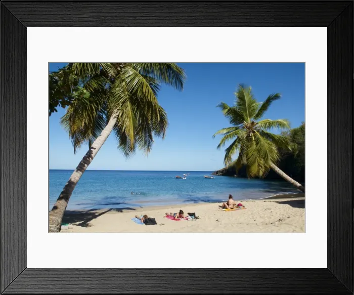 Framed Print : Anse Dufour beach, Martinique, French West Indies, Caribbean, Central America Framed Print : Anse Dufour beach, Martinique, French West Indies, Caribbean, Central America