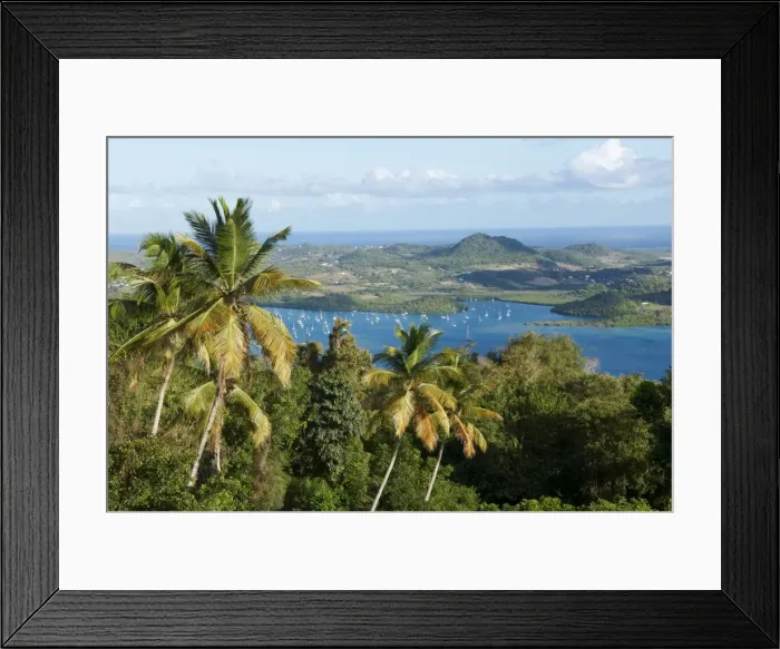 Framed Print : View over palm trees, Cul de Sac Du Marin, Martinique, French Overseas Department Framed Print : View over palm trees, Cul de Sac Du Marin, Martinique, French Overseas Department