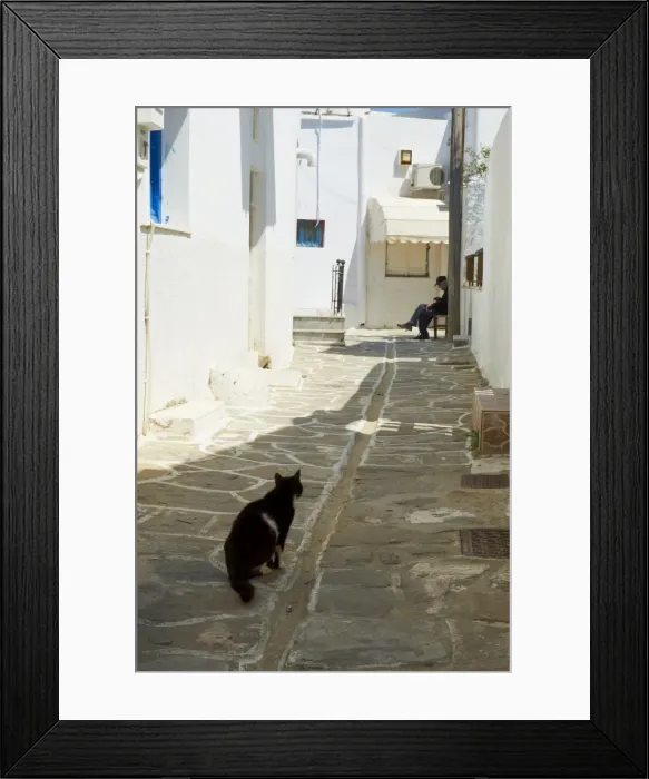 Framed Print : Cat, Parikia (Hora), Paros Island, Cyclades, Greek Islands, Greece, Europe Framed Print : Cat, Parikia (Hora), Paros Island, Cyclades, Greek Islands, Greece, Europe