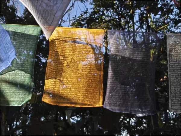 Buddhist prayer flags hanging near the Mahakal Buddhist Monastery, Observatory Hill