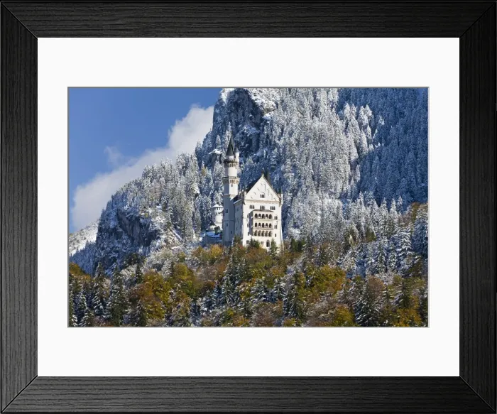 Framed Print : Neuschwanstein Castle, Bavaria, Germany, Europe Framed Print : Neuschwanstein Castle, Bavaria, Germany, Europe