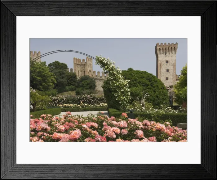 Framed Print : The Rose Park and City Walls, Este, Veneto, Italy, Europe Framed Print : The Rose Park and City Walls, Este, Veneto, Italy, Europe