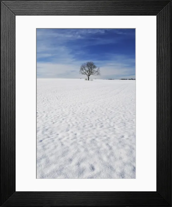 Framed Print : Winter landscape, near Villingen-Schwenningen, Black Forest-Baar (Schwarzwald-Baar) district Framed Print : Winter landscape, near Villingen-Schwenningen, Black Forest-Baar (Schwarzwald-Baar) district