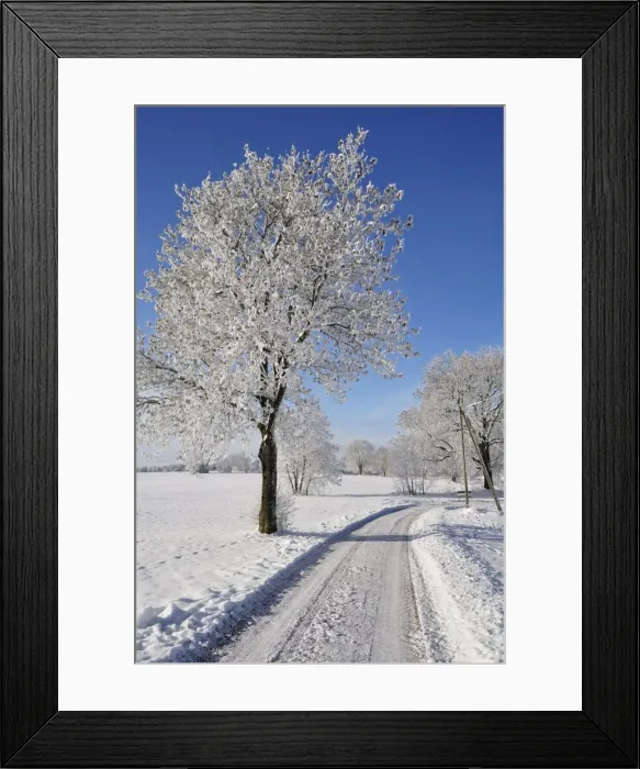 Framed Print : Winter landscape, near Villingen-Schwenningen, Black Forest-Baar (Schwarzwald-Baar) district Framed Print : Winter landscape, near Villingen-Schwenningen, Black Forest-Baar (Schwarzwald-Baar) district