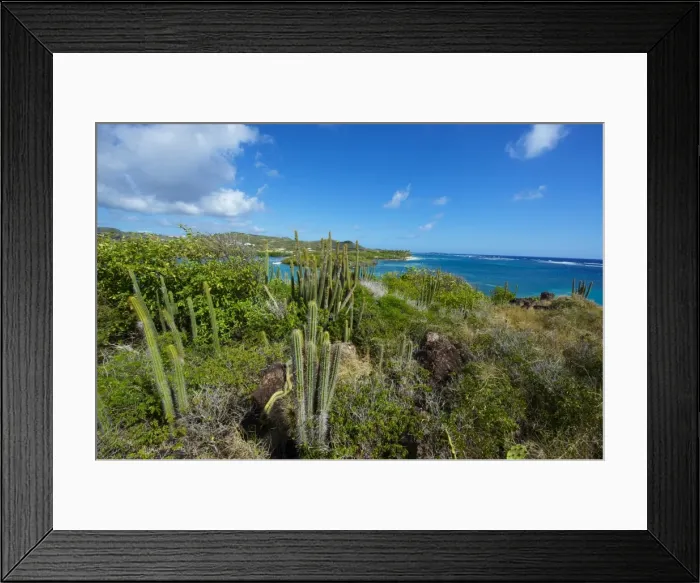 Framed Print : Cap Chevalier, Martinique, French Overseas Department, Windward Islands Framed Print : Cap Chevalier, Martinique, French Overseas Department, Windward Islands