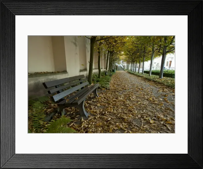 Framed Print : Rose Garden at the New Residence, UNESCO World Heritage Site, Bamberg, Bavaria Framed Print : Rose Garden at the New Residence, UNESCO World Heritage Site, Bamberg, Bavaria