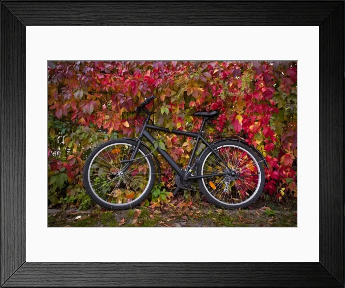 Framed Print : Bicycle, Leipzig, Saxony, Germany, Europe Framed Print : Bicycle, Leipzig, Saxony, Germany, Europe