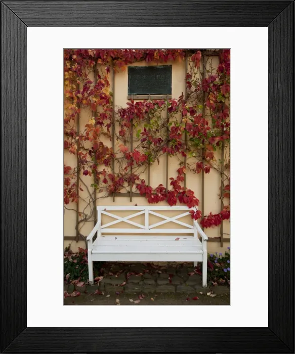 Framed Print : Grimma, Saxony, Germany, Europe Framed Print : Grimma, Saxony, Germany, Europe