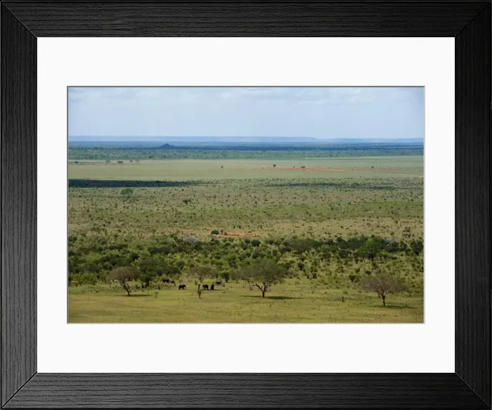 Framed Print : Tsavo East National Park, Kenya, East Africa, Africa Framed Print : Tsavo East National Park, Kenya, East Africa, Africa