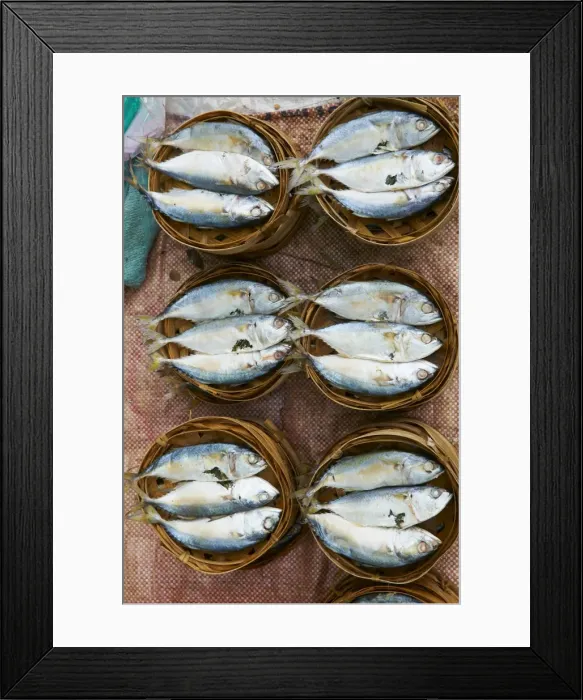 Framed Print : Fish market, Luang Prabang, Laos, Indochina, Southeast Asia, Asia Framed Print : Fish market, Luang Prabang, Laos, Indochina, Southeast Asia, Asia