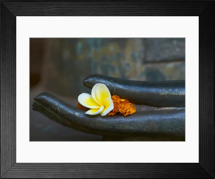 Framed Print : Frangipani flower on hand of Buddha statue, Haw Pha Kaeo, Vientiane, Laos Framed Print : Frangipani flower on hand of Buddha statue, Haw Pha Kaeo, Vientiane, Laos