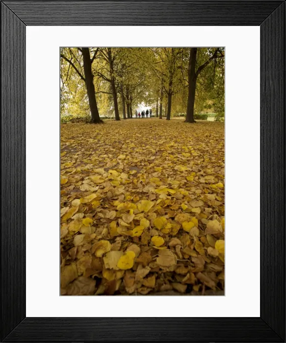 Framed Print : Avenue to the Monument to the Battle of the Nations, Leipzig, Saxony, Germany, Europe Framed Print : Avenue to the Monument to the Battle of the Nations, Leipzig, Saxony, Germany, Europe