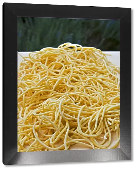Homemade fresh spaghetti, Italian pasta, Italy, Europe