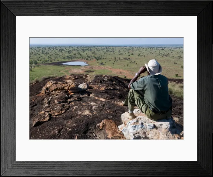 Framed Print : Lualenyi Game Reserve, near Tsavo National Park, Kenya, East Africa, Africa Framed Print : Lualenyi Game Reserve, near Tsavo National Park, Kenya, East Africa, Africa