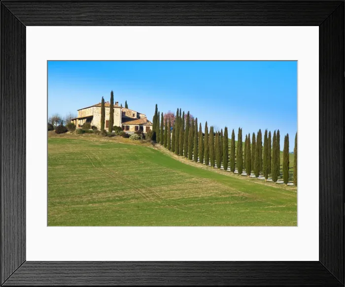 Framed Print : Val d Orcia, Siena Province, Siena, Tuscany, Italy, Europe Framed Print : Val d Orcia, Siena Province, Siena, Tuscany, Italy, Europe