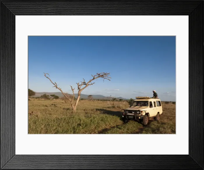 Framed Print : Lualenyi Game Reserve, Kenya, East Africa, Africa Framed Print : Lualenyi Game Reserve, Kenya, East Africa, Africa