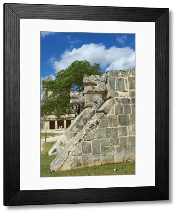 Framed Print : The snakes head in ancient Mayan ruins, Chichen Itza, UNESCO World Heritage Site Framed Print : The snakes head in ancient Mayan ruins, Chichen Itza, UNESCO World Heritage Site