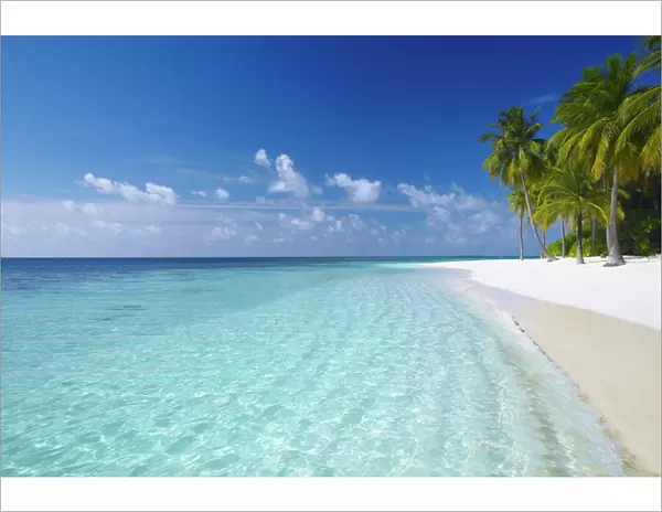 Tropical island and beach, Maldives, Indian Ocean, Asia