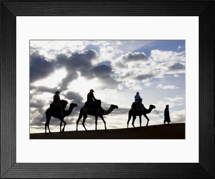 Framed Print : Silhouette of Berber man leading three camels along the ridge of a sand dune in the Erg Chebbi sand sea near Merzouga, Morocco, North Framed Print : Silhouette of Berber man leading three camels along the ridge of a sand dune in the Erg Chebbi sand sea near Merzouga, Morocco, North