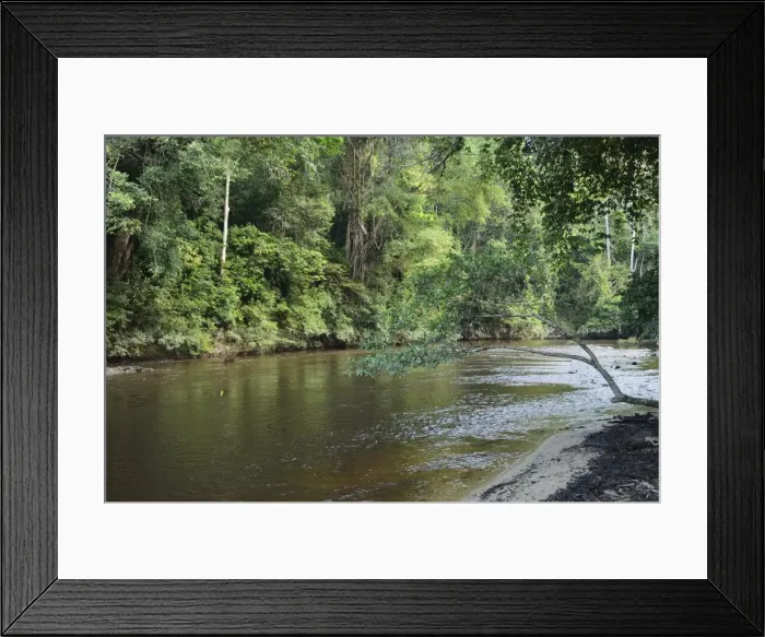 Framed Print : Sungai Tahan, Taman Negara National Park, Pahang, Malaysia, Southeast Asia, Asia Framed Print : Sungai Tahan, Taman Negara National Park, Pahang, Malaysia, Southeast Asia, Asia