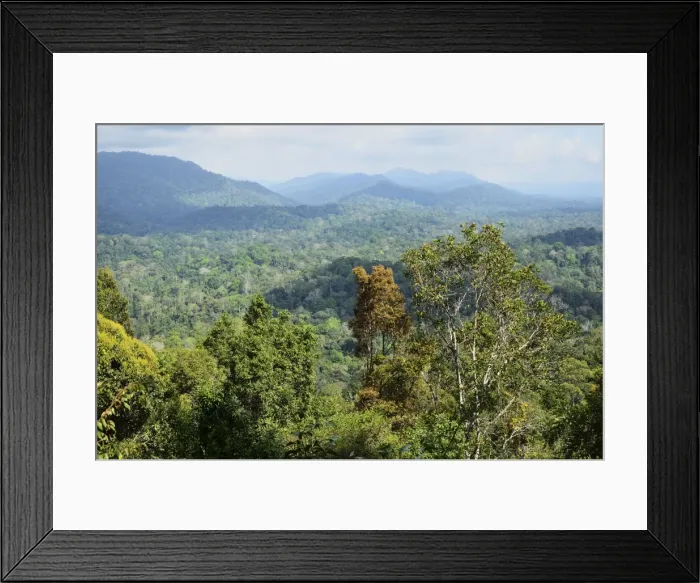 Framed Print : View of Taman Negara National Park from Bukit Teresek, Pahang, Malaysia Framed Print : View of Taman Negara National Park from Bukit Teresek, Pahang, Malaysia