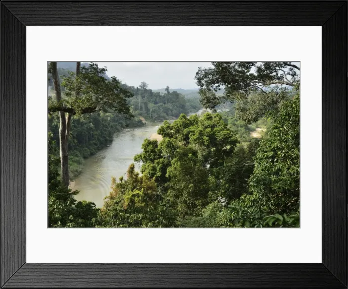 Framed Print : Sungai Tembeling, Taman Negara National Park, Pahang, Malaysia, Southeast Asia, Asia Framed Print : Sungai Tembeling, Taman Negara National Park, Pahang, Malaysia, Southeast Asia, Asia