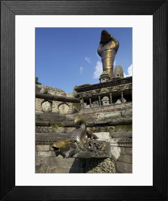 Framed Print : Goat Framed Print : Goat