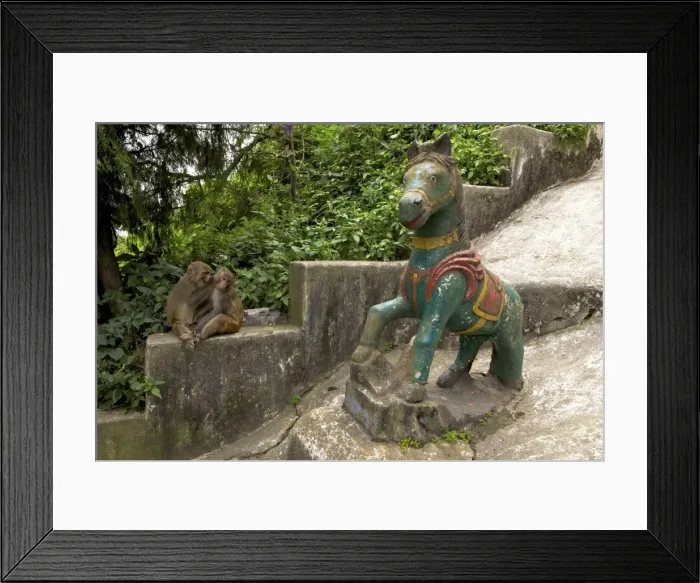 Framed Print : Monkeys grooming on steps to Swayambhunath Stupa (Monkey Temple), UNESCO World Heritage Site Framed Print : Monkeys grooming on steps to Swayambhunath Stupa (Monkey Temple), UNESCO World Heritage Site