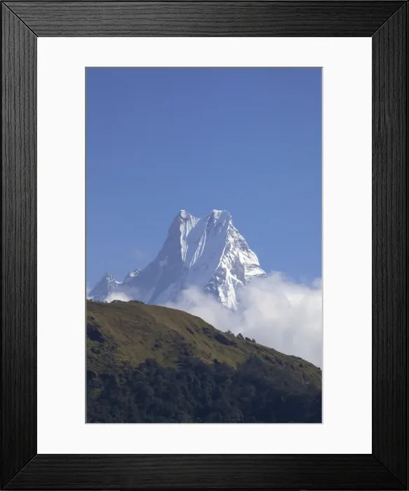 Framed Print : View of Fishtail mountain (Machhapuchhare), from trail between Ghorepani and Tadapani Framed Print : View of Fishtail mountain (Machhapuchhare), from trail between Ghorepani and Tadapani