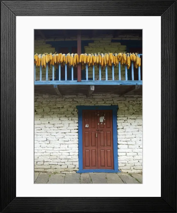 Framed Print : Traditional house drying corn, near Ulleri, Annapurna Sanctuary Region Framed Print : Traditional house drying corn, near Ulleri, Annapurna Sanctuary Region