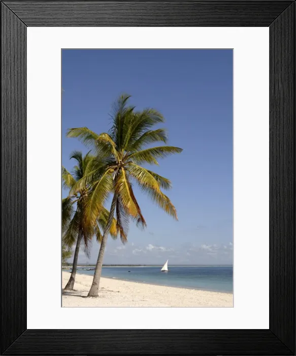 Framed Print : Coconut palm and dhow, Pangane beach, Mozambique, Africa Framed Print : Coconut palm and dhow, Pangane beach, Mozambique, Africa