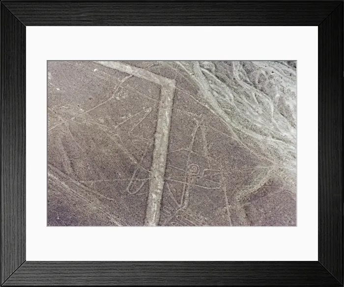 Framed Print : Whale, Lines and Geoglyphs of Nasca, UNESCO World Heritage Site, Peru, South America Framed Print : Whale, Lines and Geoglyphs of Nasca, UNESCO World Heritage Site, Peru, South America