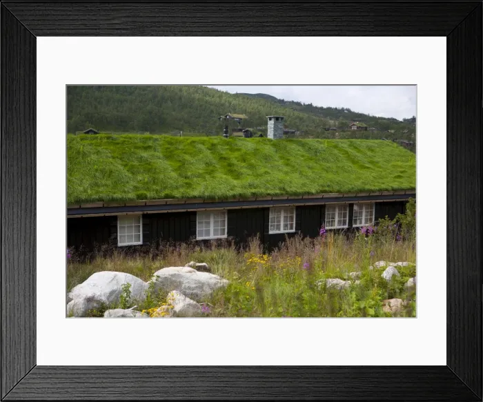 Framed Print : House with green roof, near Tinn, Telemark, Norway, Scandinavia, Europe Framed Print : House with green roof, near Tinn, Telemark, Norway, Scandinavia, Europe