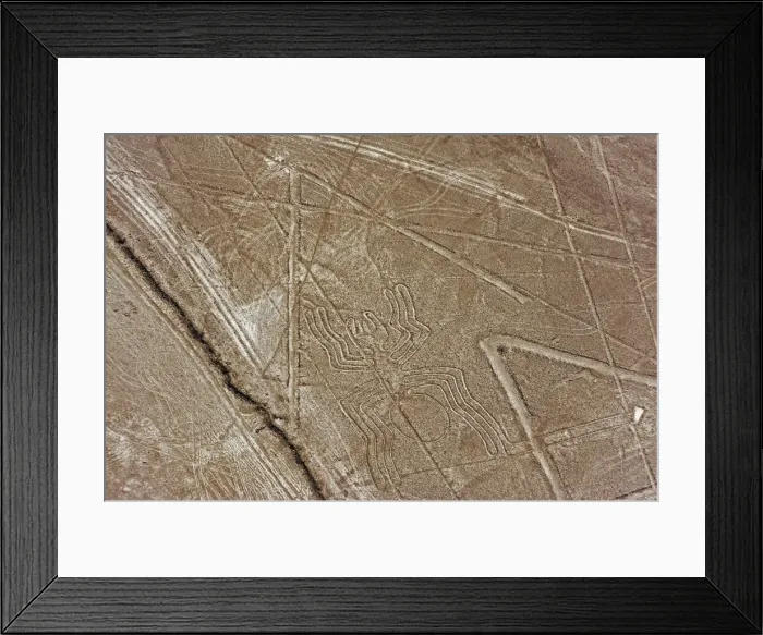 Framed Print : Spider, Lines and Geoglyphs of Nasca, UNESCO World Heritage Site, Peru, South America Framed Print : Spider, Lines and Geoglyphs of Nasca, UNESCO World Heritage Site, Peru, South America