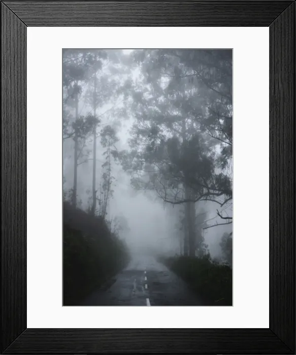 Framed Print : Forest in fog, near Achadas da Cruz, Madeira, Atlantic Ocean, Portugal, Europe Framed Print : Forest in fog, near Achadas da Cruz, Madeira, Atlantic Ocean, Portugal, Europe