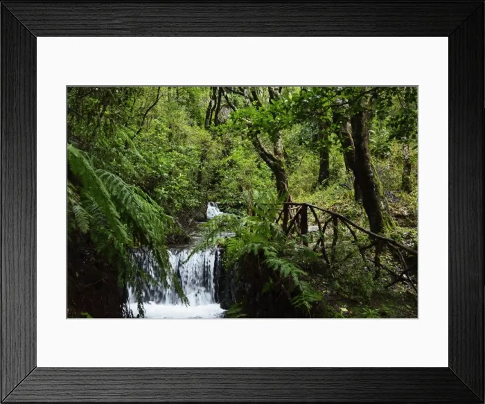 Framed Print : Rainforest, Queimadas, Madeira, Portugal, Atlantic Ocean, Europe Framed Print : Rainforest, Queimadas, Madeira, Portugal, Atlantic Ocean, Europe