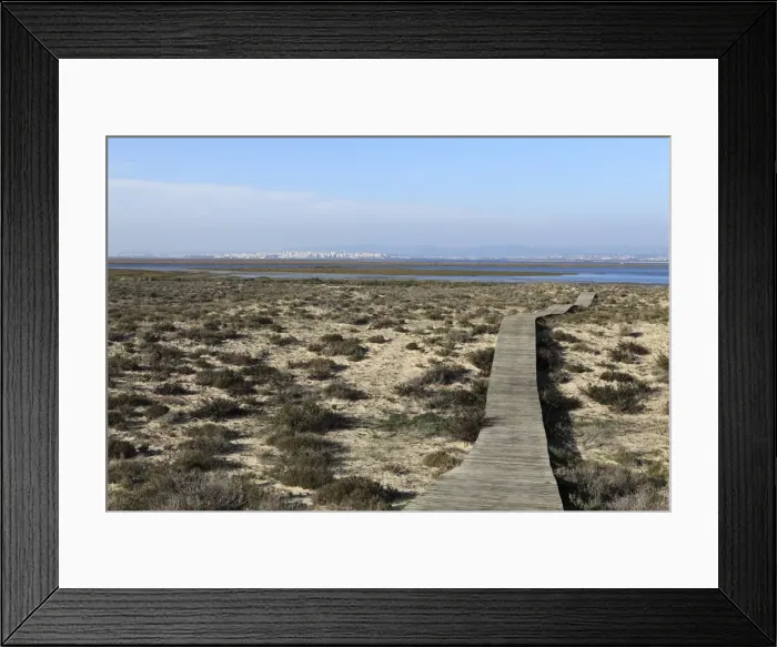 Framed Print : A boardwalk runs over dunes of Ilha Deserta (Barreta), an island in the Ria Formosa National Park Framed Print : A boardwalk runs over dunes of Ilha Deserta (Barreta), an island in the Ria Formosa National Park