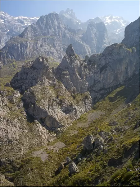 The Picos de Europa, Castilla y Leon, Spain, Europe
