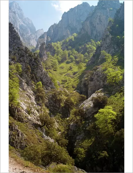 The Cares Gorge, Picos de Europa, Castilla y Leon, Spain, Europe