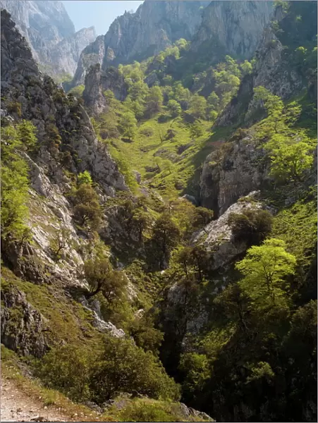 The Cares Gorge, Picos de Europa, Castilla y Leon, Spain, Europe