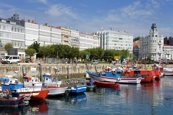 Fishing boats in Darsena Marina, La Coruna City, Galicia, Spain, Europe