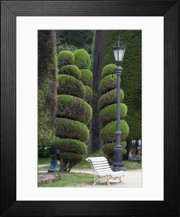 Framed Print : Genoves Park, Cadiz, Andalusia, Spain, Europe
